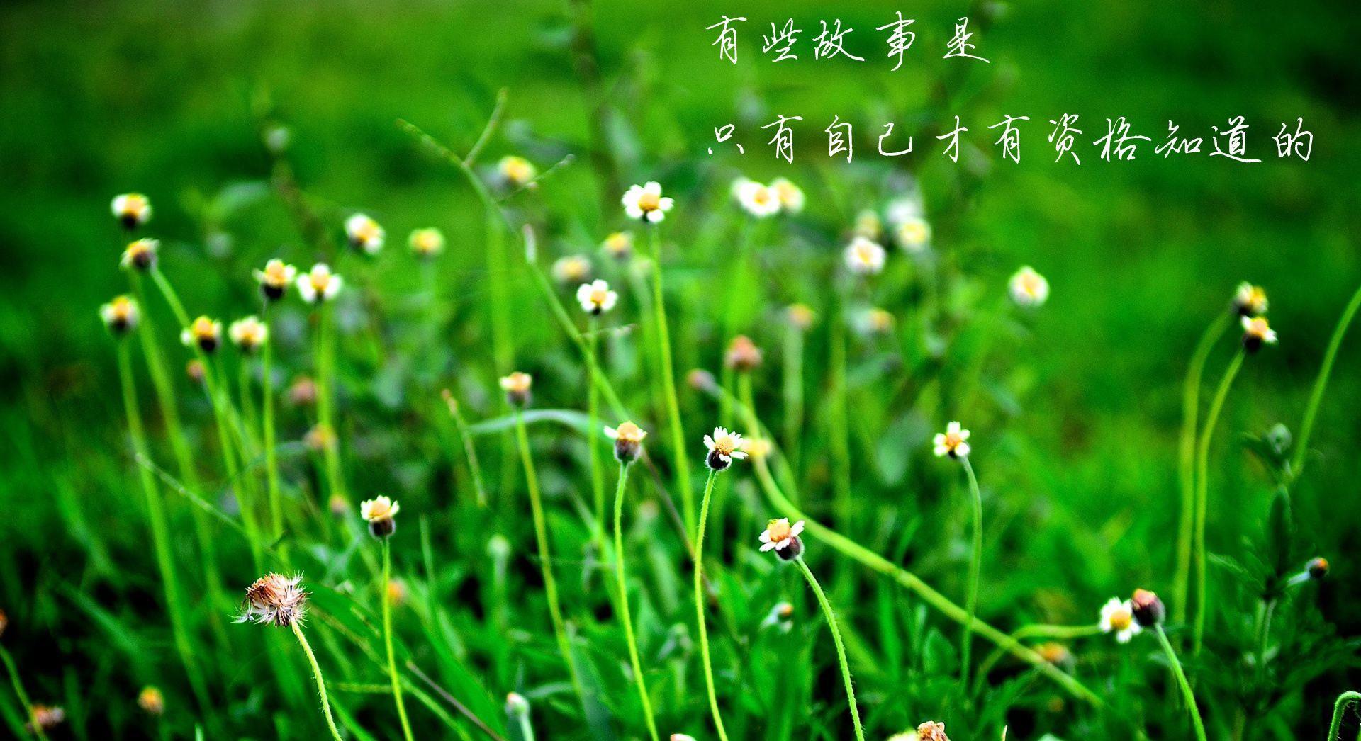 生肖|难忘旧爱，与前任纠缠不休的三星座，无论如何，都新不了情