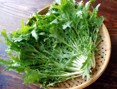 紫甘蓝:被称天然的“花青素”,比桑葚便宜,女人三天两头吃还抗衰老