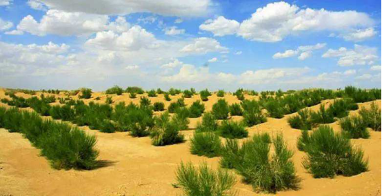 水利工程|中国最无奈的水利工程，绿洲变沙漠，外国人懵了：怎么做到的？