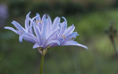 生肖|8月下旬，财运机遇重现，满面春光的3个生肖，福财天降，必将大富