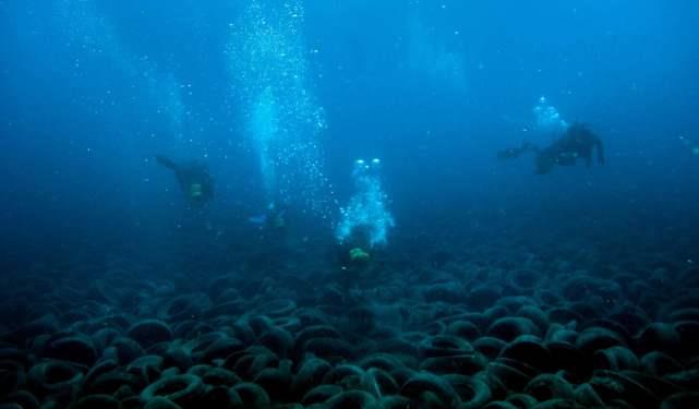 水底奥秘|我国潜入3900米深海,拍下了这一幕:是时候停手了