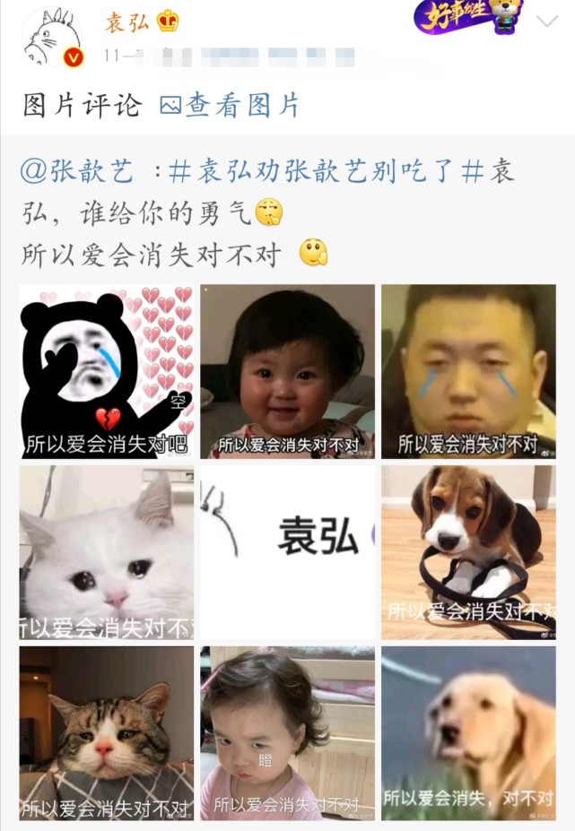张歆艺|张歆艺腹肌照被袁弘公开后上热搜，网友：娶个二手媳妇还当个宝了