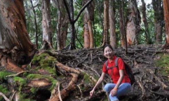 食人树|传说中的“食人树”竟真的存在?主要以动物为食,还有人专门喂养