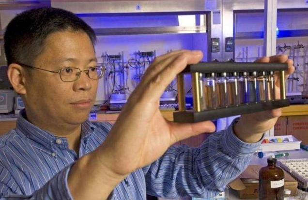 高校▲美国顶尖材料学家均来自中国高校？网友：心中不是滋味