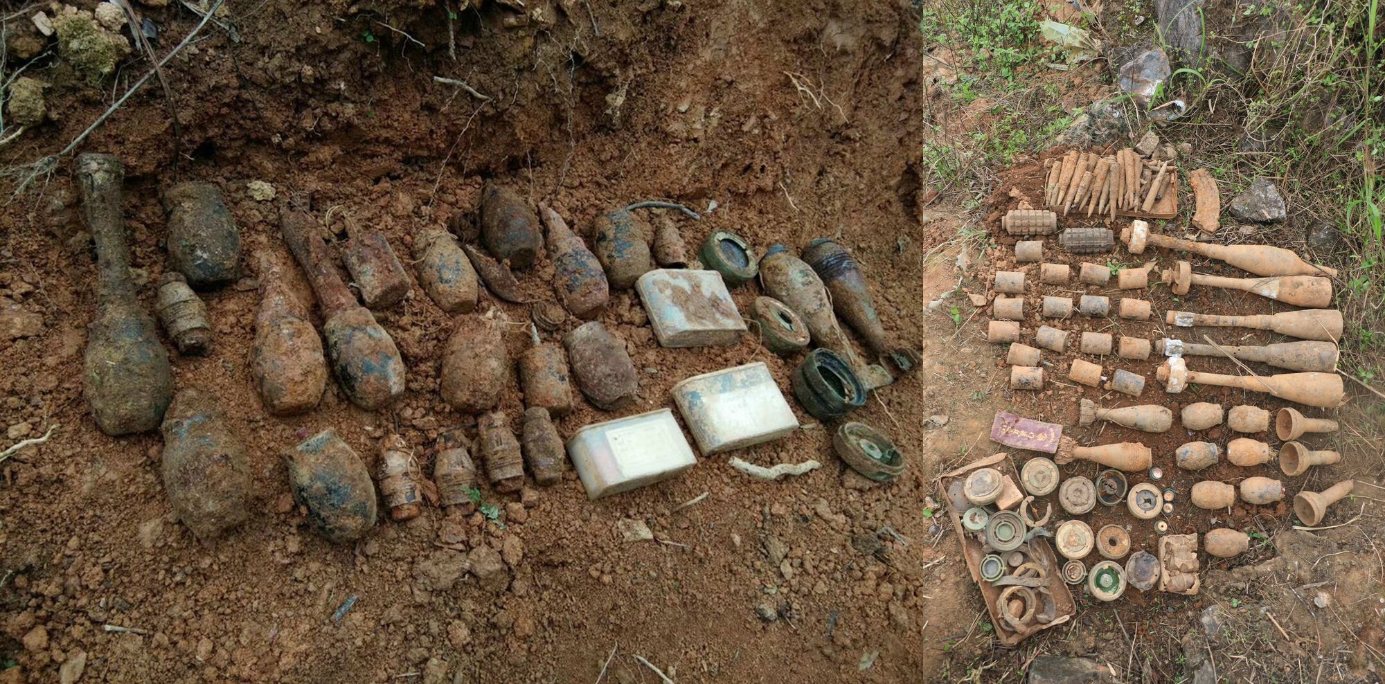 「苏联」地下埋着百万颗地雷，彻底清除需要4000年，最后却是老鼠立了功