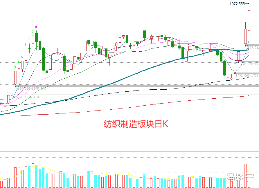涨停|你还看空吗?平时不起眼的板块,现在都开始走主升浪了