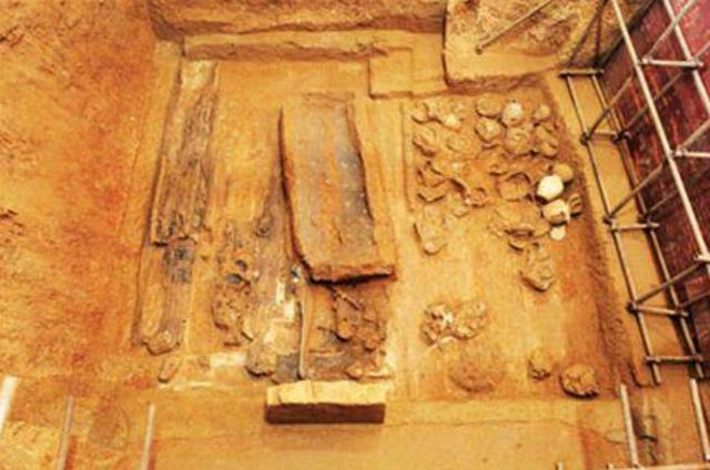 墨语笙歌|江苏发现一男四女合葬墓穴，墓中挖出一个金蝉，专家估值9个亿