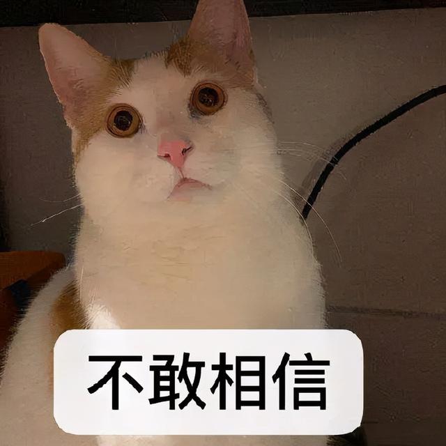 河南都市频道|“你不说我不说”，沪上两男子从14岁昏死少年身上拔出铁管…