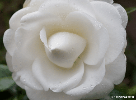 运势|下个月开始，4属相事业步步高升，生活风生水起，钱多福多