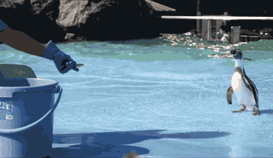 |“女同学深夜发给我一张照片，是在暗示什么吗？”哈哈哈哈哈把握机会吧！