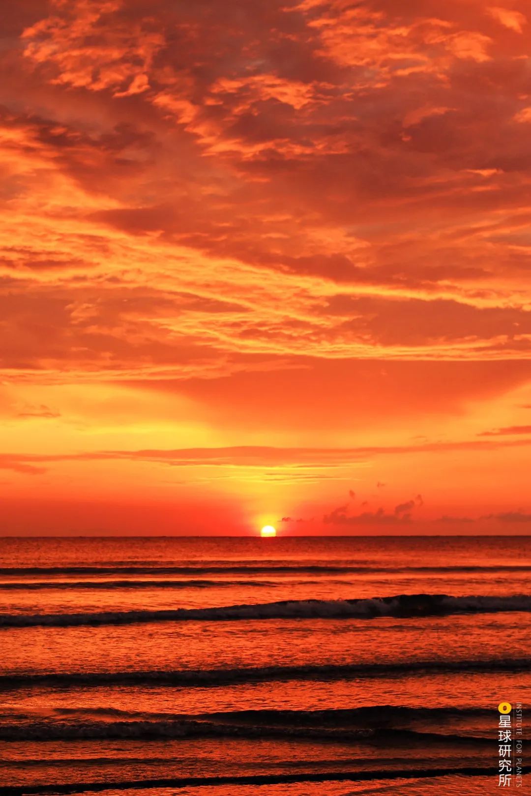 |30张图，偷偷说再见...