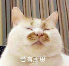 程序员|程序员最害怕的是什么—函数