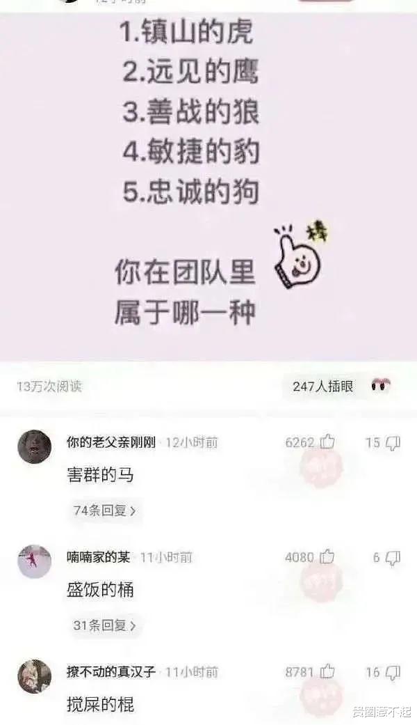 影视解说|烂片最大的快乐就是影评！因为影评区人人都是阴阳师……