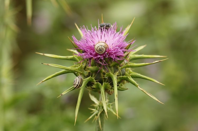 生肖|月中，爱情再美也有遗憾，深爱不纠缠，不再联系，永不相见的生肖