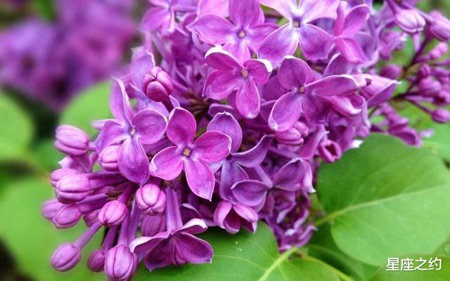 #射手座#在5月份，苦尽甘来，不离不弃，修成正果的三大星座