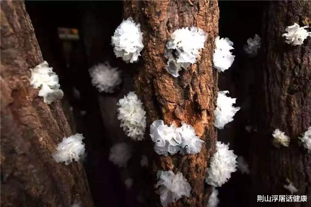 肝脏|45岁阿姨大便异样，医生：肝已“硬如磐石”，这种汤怎么可以每天喝