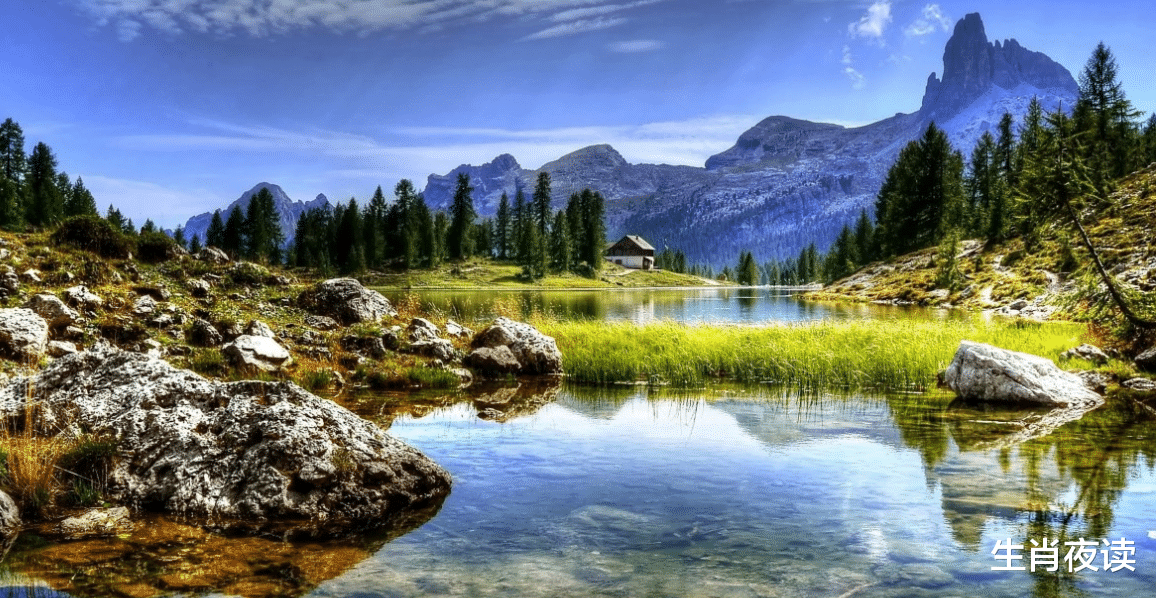 生肖|11月，旧情人回头，不计前嫌，误会解除，冲破阴霾，重拾爱情