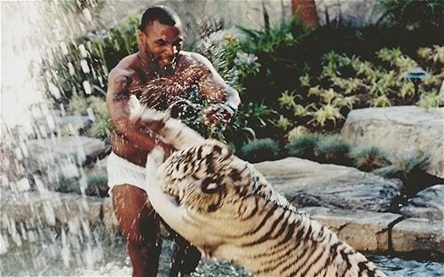 迈克·泰森@如果当年泰森在中国摆擂台，有没有人打得过他？