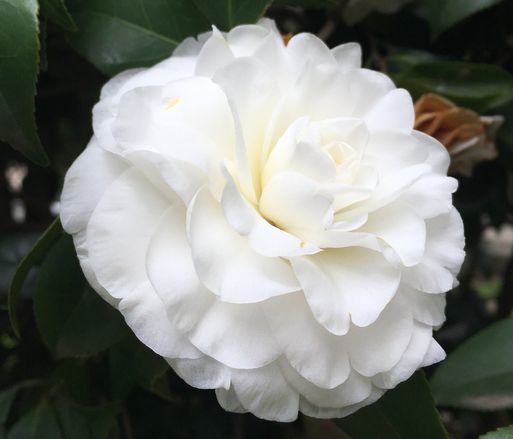 天秤座|10月中旬,4属相顺利转好运,贵人相助,万事顺利,生活更美好