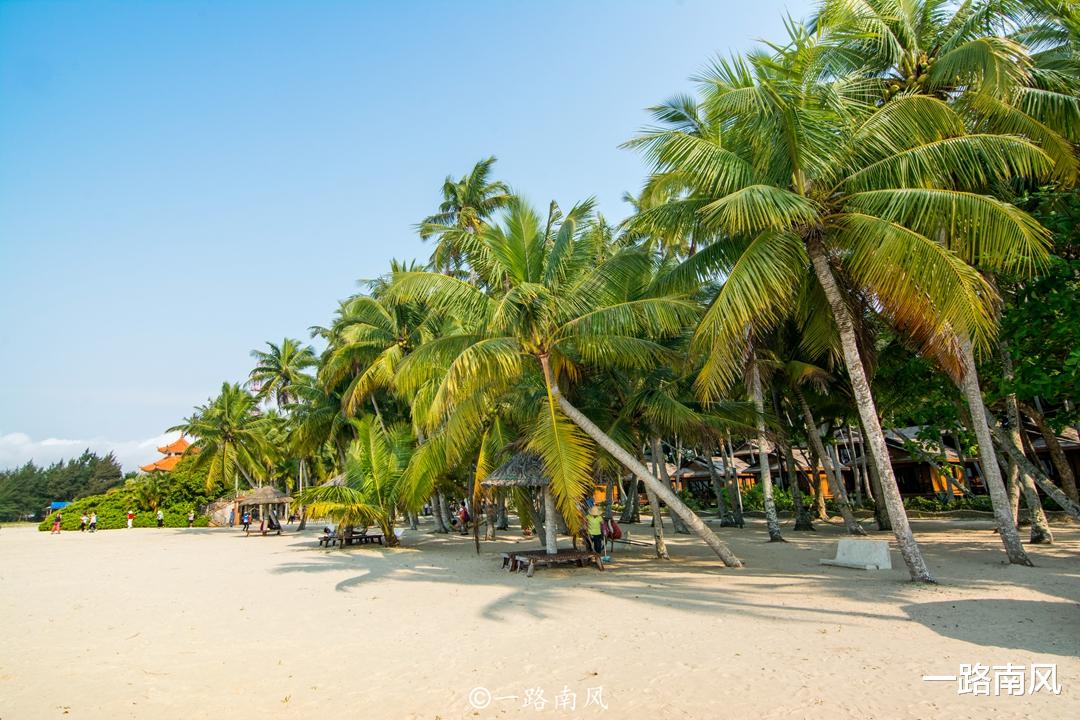 『海南』海南最美的小镇，到处都是椰子树，国内的椰子近四分之一来自这里