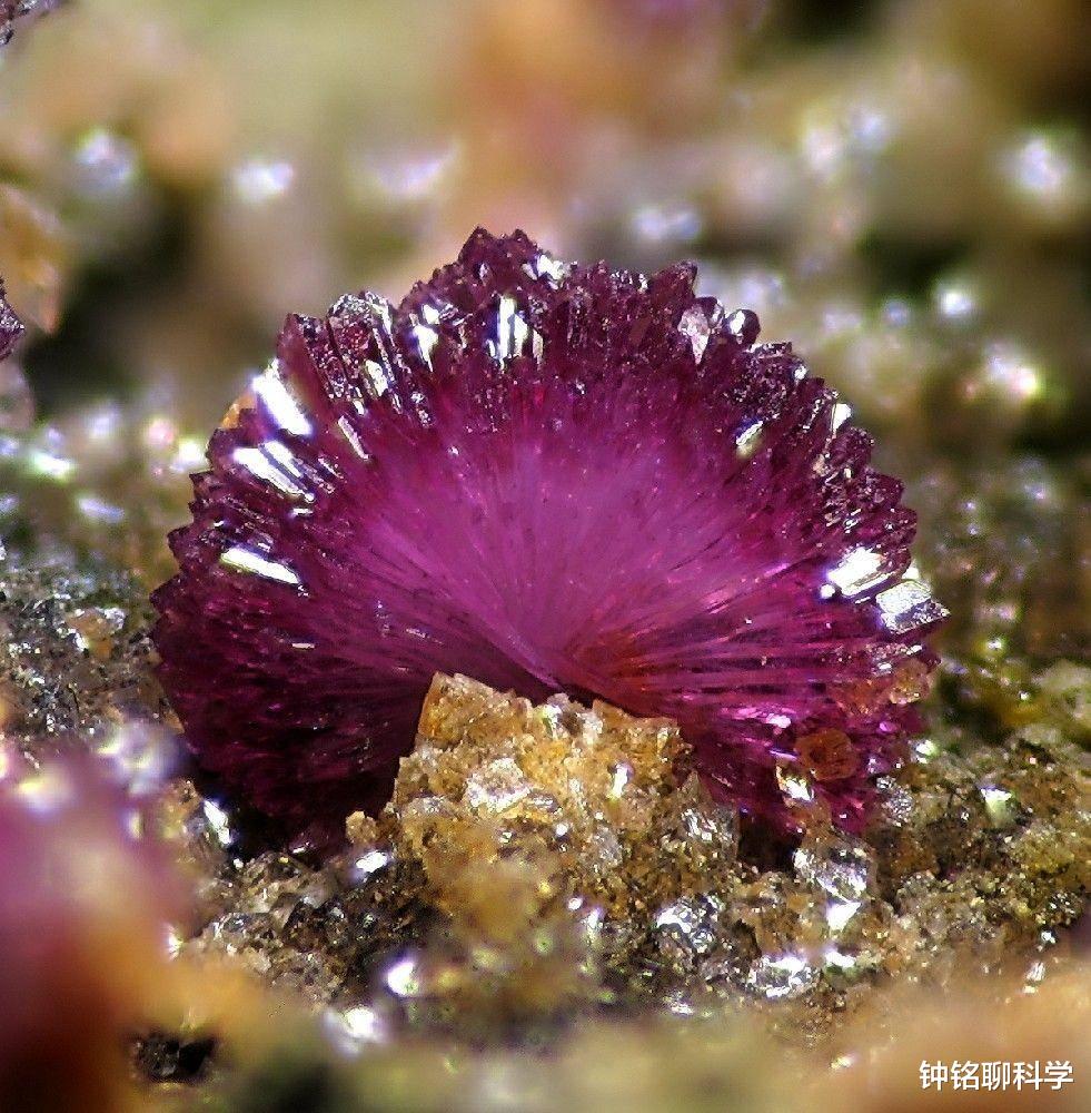 星云@为什么地球上会有这么多水，这些水从哪里来的？