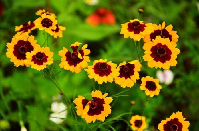 「」6月下旬开始钱财大赚，4大属相大运将至，前途无忧，大发“洋财”