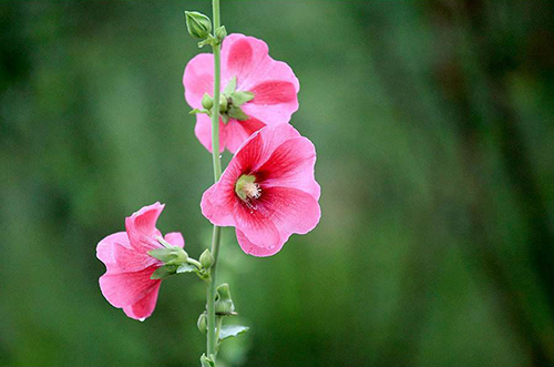 『仰·望』6月中旬，贵人出现，不会缺钱的三个星座