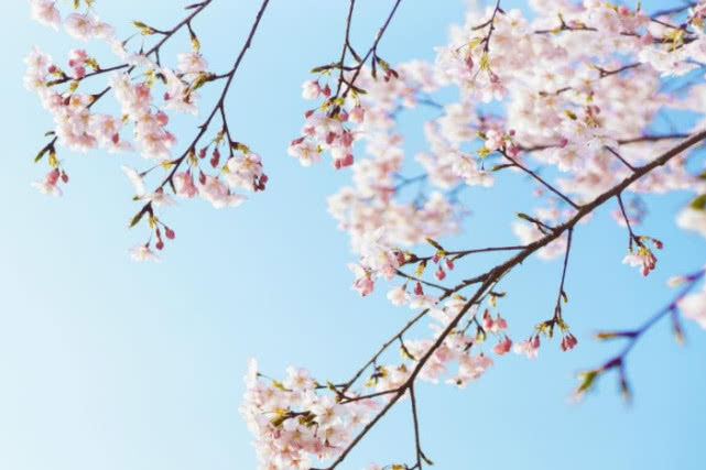 生肖▲6月中旬开始，有望鸿运高照，财源大开，存款翻倍的三个生肖