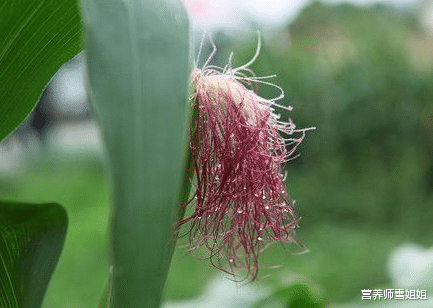 睡眠▲肾好不好，看这四处，强健肾脏，牢记“三勤，三忌”