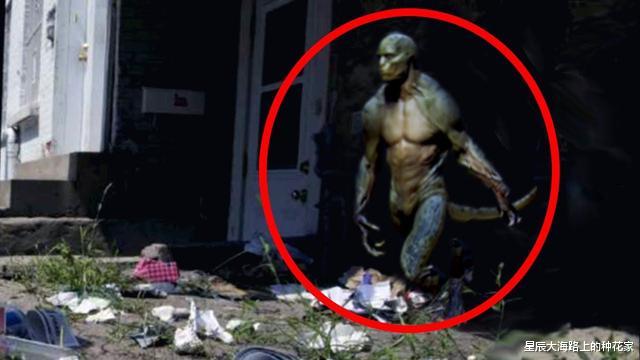 「二甲双胍」莱瑟塔档案：那些颠覆认知的地球往事，到底是不是真的？