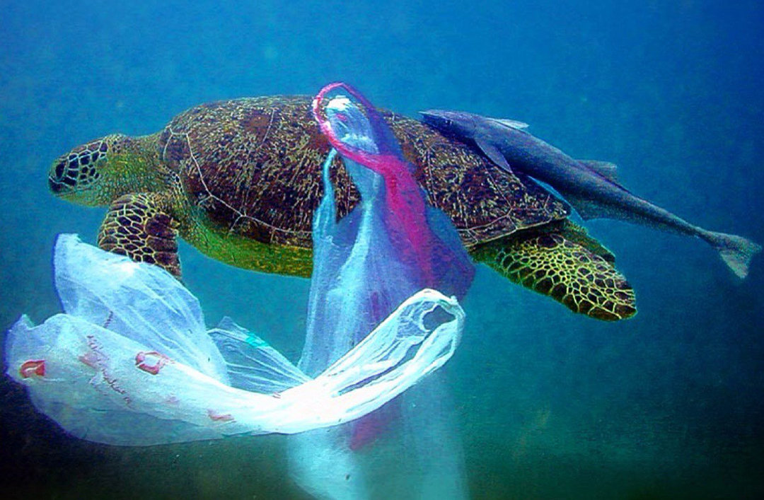 马里亚纳海沟|10984米的马里亚纳海沟,科学家最不希望看到的东西,出现了!