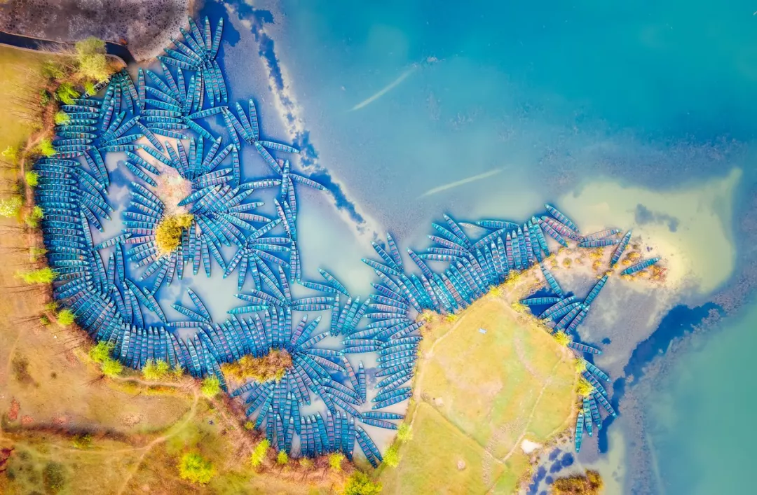 「门源」未来30天,中国这7个地方将美哭全世界