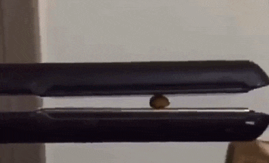 小姐姐|“姓张的还有比张三丰更出名的吗？”哈哈哈哈哈网友神评赢了！