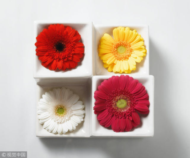 #生肖#7月紫气东来,祥云高照,3个生肖桃花财运双双旺!