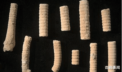 「科学家」科学家发现三亿年前神秘“螺丝钉”?