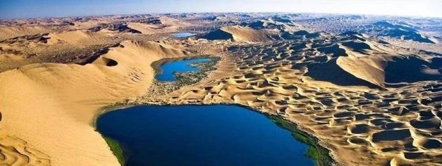 干旱|取之不尽的海水，引入沙漠会发生什么？看看强行引入的“后果”