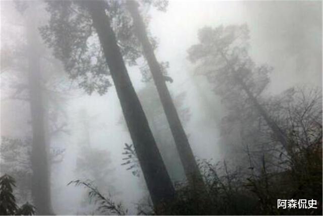 百慕大三角|“黄泉路”真的存在，人进去就出不来，已成禁区，专家无法解释