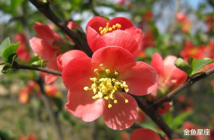 「运势」天赐好兆头，最近十天一顺百顺，财气开门红的3生肖，事业走上坡路