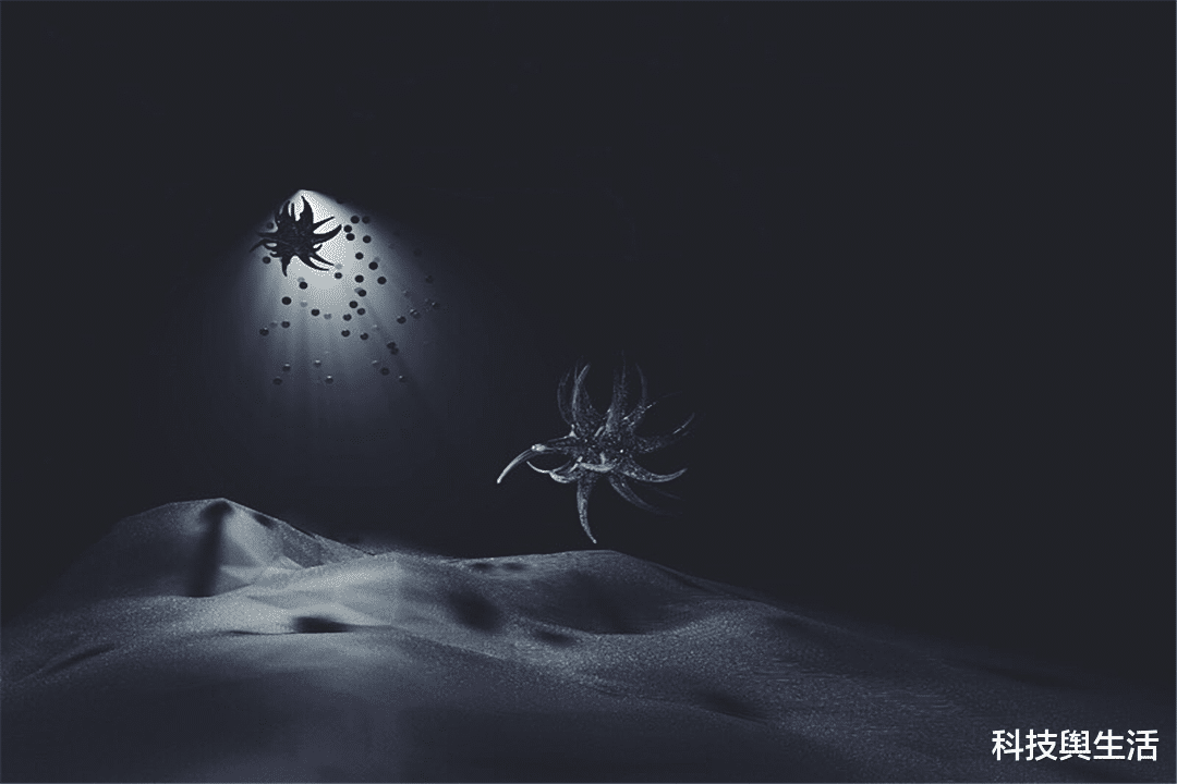 科学家|梦境是如何产生的？为何时常会梦到已经离去的人？仅仅因为思念？