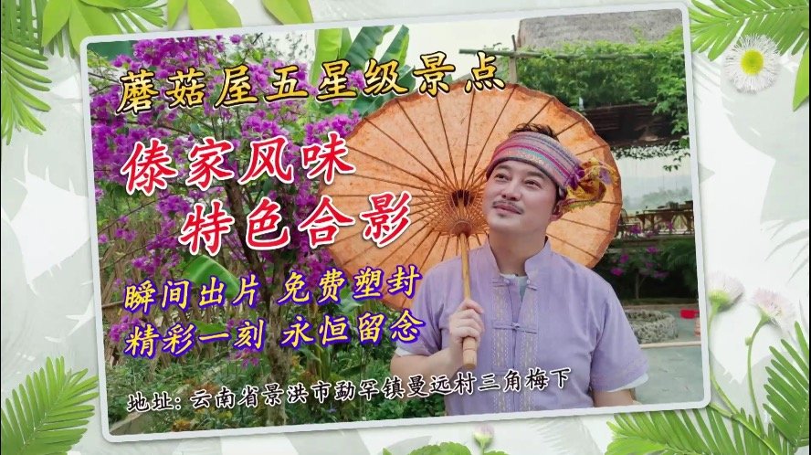 向往的生活▲《向往的生活》：距离摘下椰子仅剩几步之遥，为何最后还是放弃了