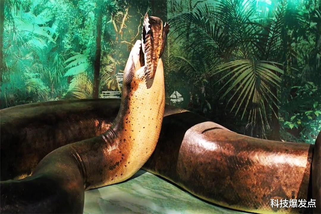 化石|3亿年前人类是一条鱼?人类生命起源,真的是世纪骗局吗?