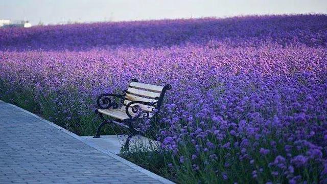 「甘肃」走完这个省，你就相当于看遍了大半个中国