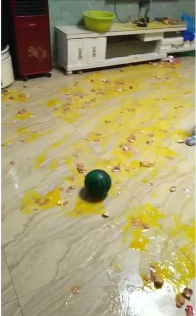 【开心食堂】是不是全世界女生都是这样？