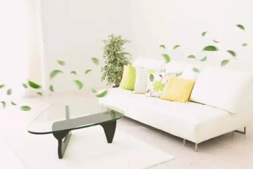 专家证实：这些除醛方法均为谣传，别再上当受骗了！