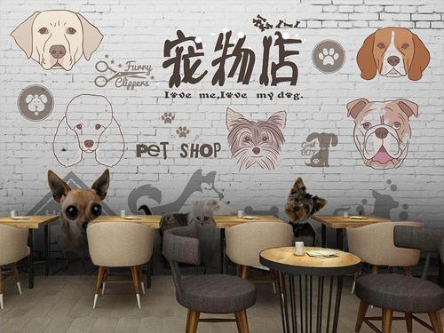 美容师|10家宠物店有9家在赔钱，为什么还会有那么多人开宠物店？