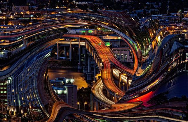 章鱼|章鱼乌贼是四维生物？超越人类可穿梭时空？网友：四维生物真香！