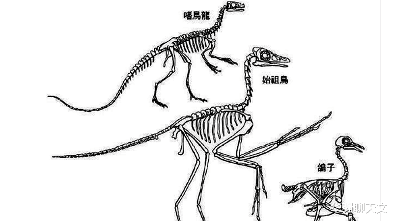 化石|专家在一山洞中找到了近千块石盘，还发现了有关人类起源的秘密！