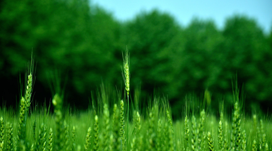 生肖|实不相瞒：下半年，得贵人支持，喜事不重样，日子富贵的生肖