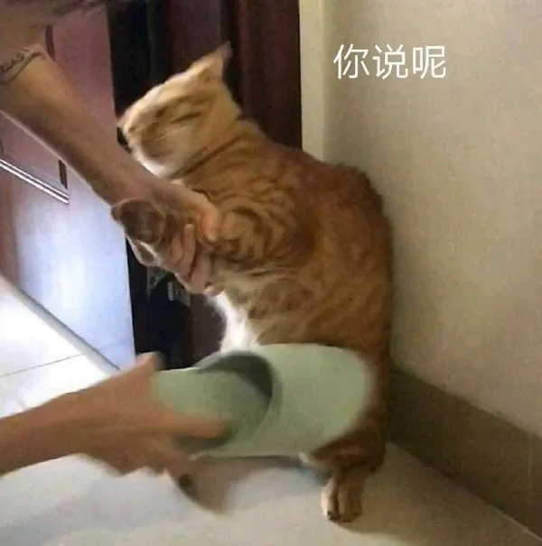 笔记本|“用了8年的笔记本今天清灰才发现有张膜...”哈哈哈这么玩也行？