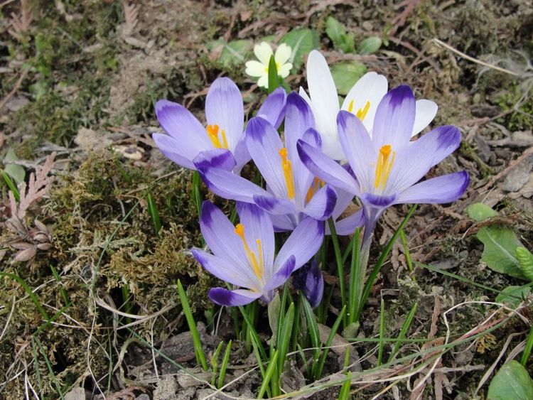 生肖■4月开始财神赐财,贵人赐运,一辈子衣食无忧的四大生肖